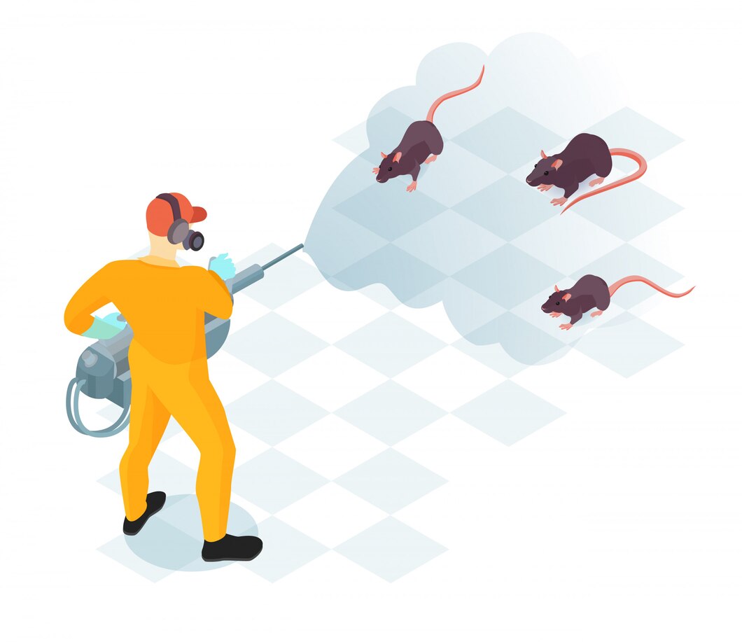 Why Effective Rat And Rodent Control Is Non-Negotiable - Discover Craze