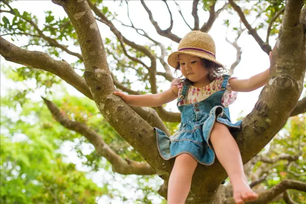 Climbing To Confidence: How Australian Children Benefit From Vertical Challenges?