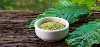 Unlocking The Advantages: Why Select Online Suppliers Of Kratom