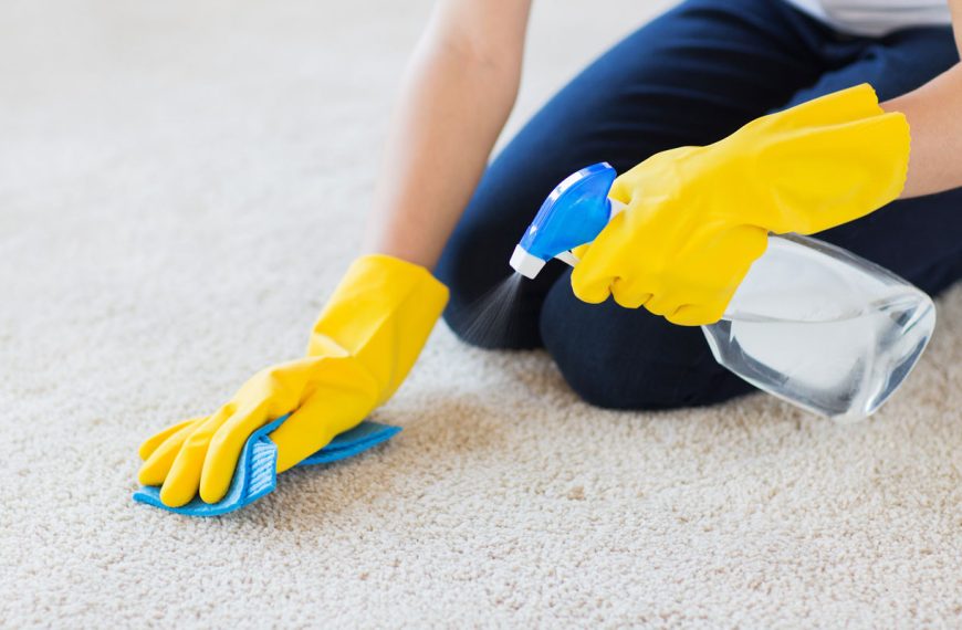 Keeping Carpets Clean: Putting the Right Tools in the Right Hands