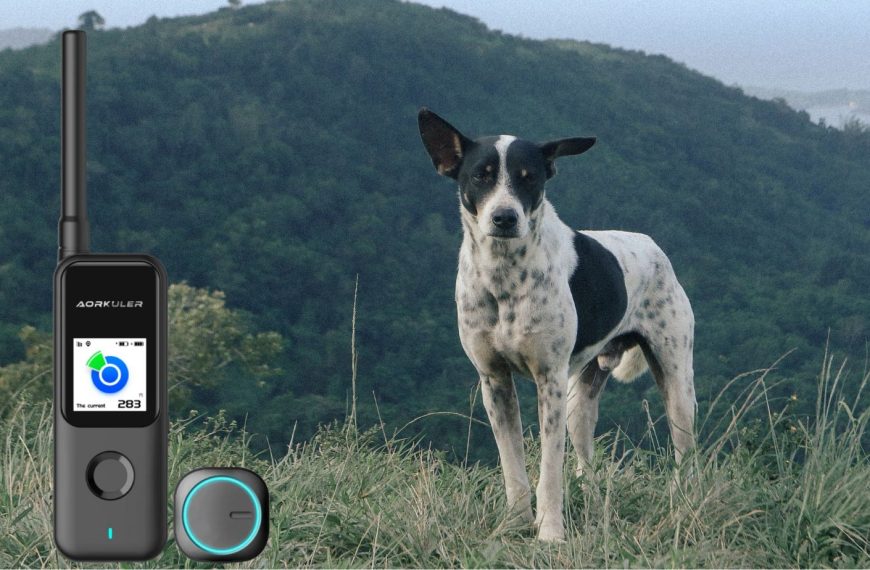 Aorkuler Pet Tracker: Tracking Dogs Real-Time in Rural Areas