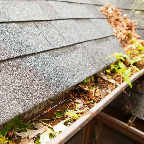 4 Gutter Problems and How to Fix Them