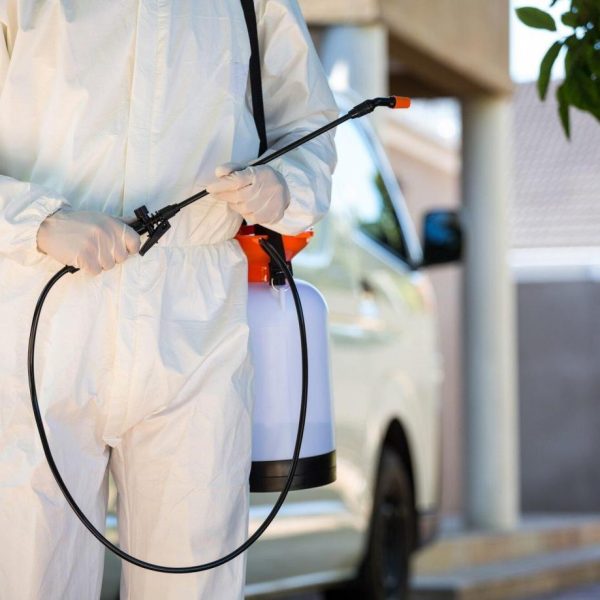 How to Choose the Right Fumigation Services for Your Needs