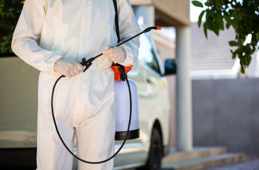 How to Choose the Right Fumigation Services for Your Needs