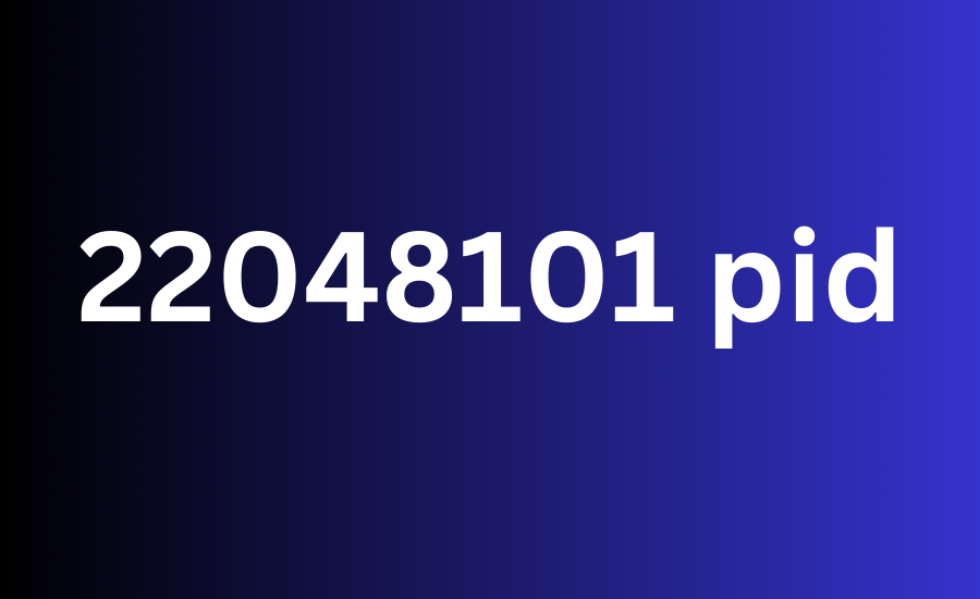 How 22048101 pid Functions