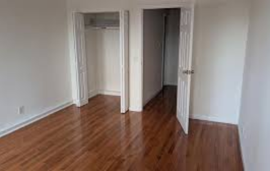 How Do Pest Control Services Get Rid of Bugs in Homes?